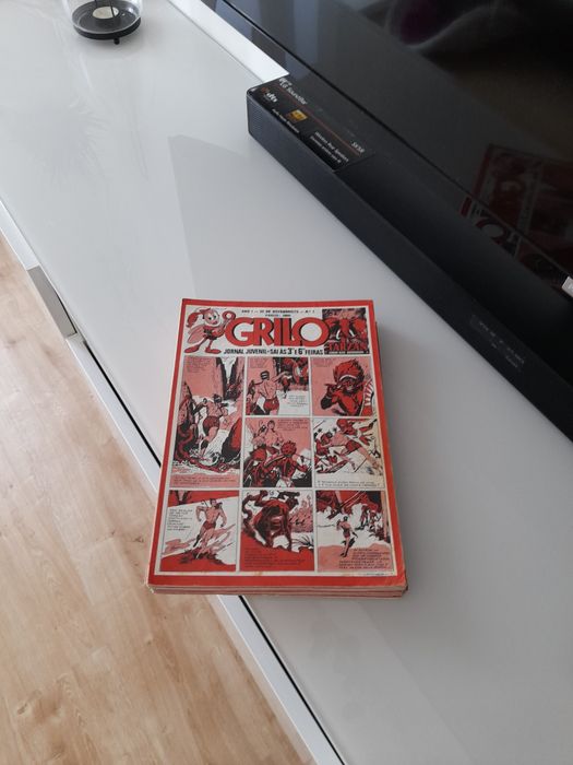 Youth Newspaper 'O Grilo'