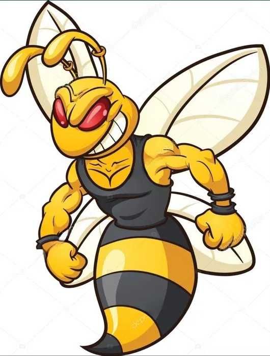 usuwanie SzerSzeni OS owadów latających biegających Szybko Skutecznie