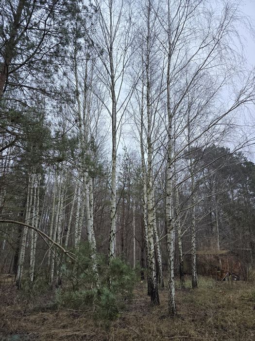 DZIAŁKA budowlana W Choroszczy