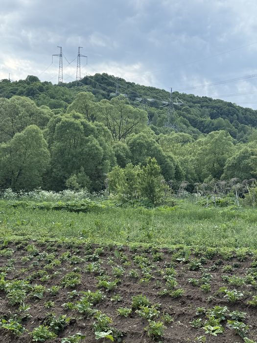 Продається ділянка з виходом до річки