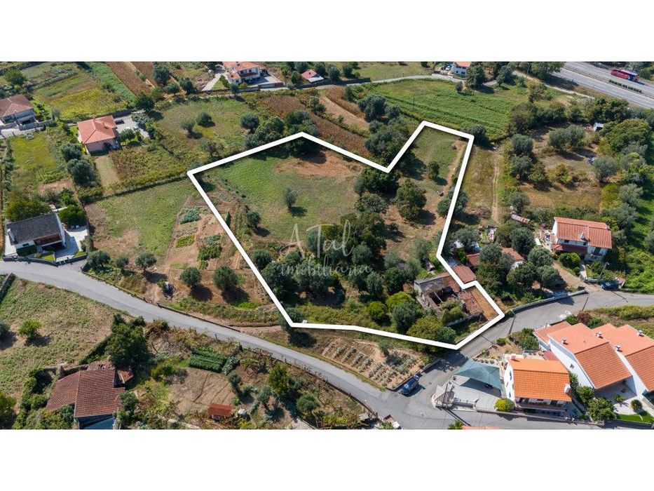 Terreno Residencial de 7013m² com Casa em Ruína em Ponte de Lima