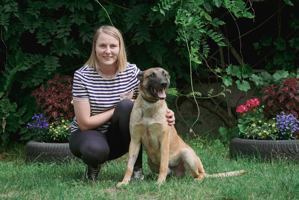 Baron - niewidomy pies szuka domu - w typie owczarek belgijski