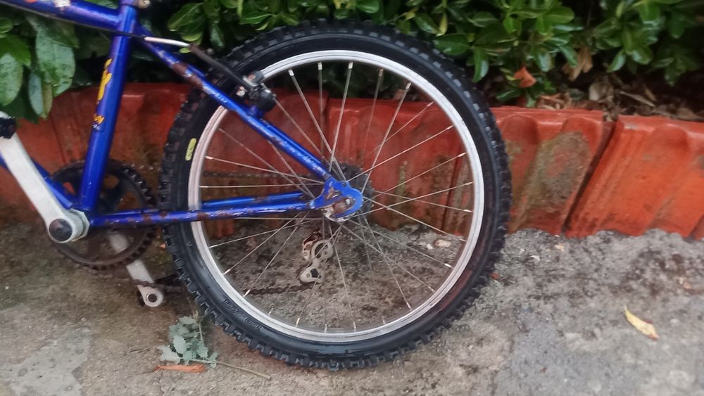Bicicletas para adultos, adolescentes e crianças