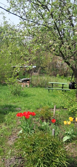 Дача, Пролетарський Гай, урочище Святе