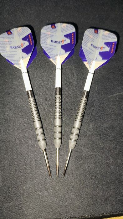 Lotki Target Raymond van Barneveld 25 23g 95%