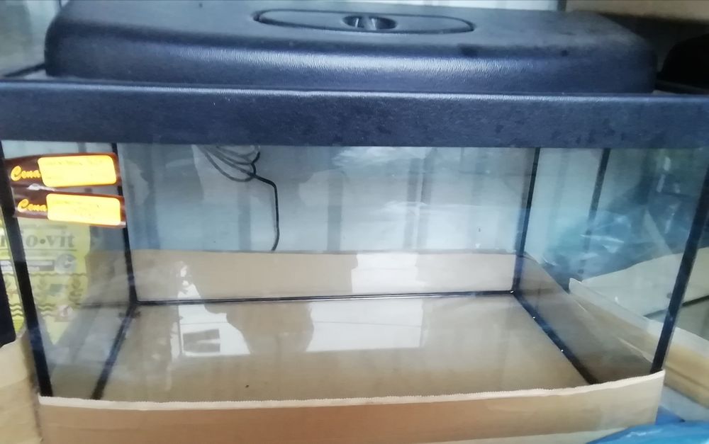 Akwarium proste 60cm x30cm x35