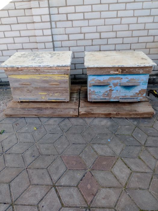 Вулики лежаки під рамку Дадан