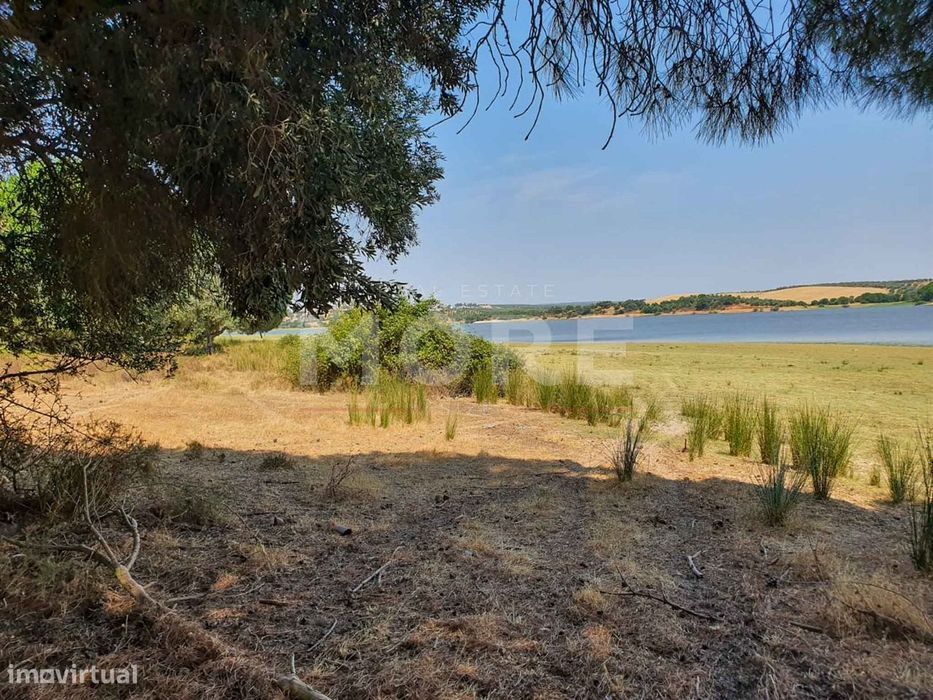 Herdade - 31,5 hectares - Torrão