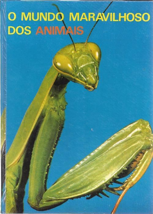 Capa