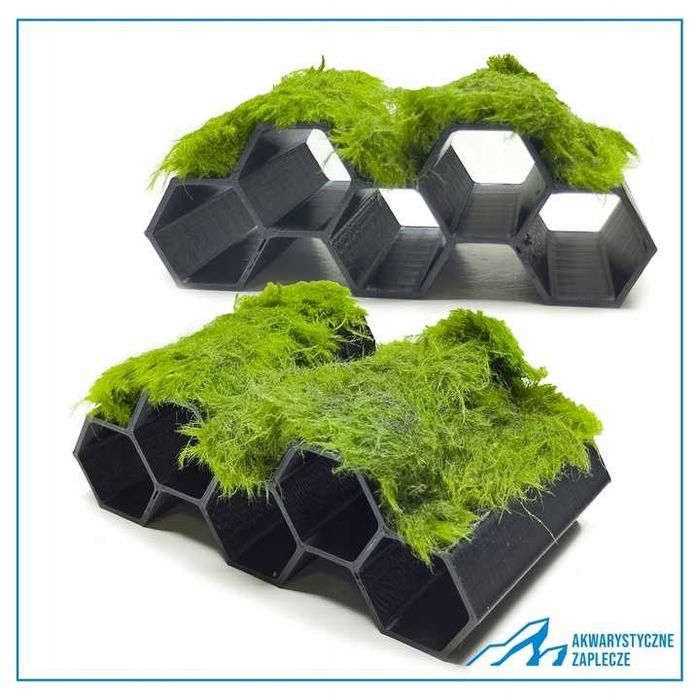 Kryjówka dla krewetek pokryta Gałęzatką - Ozdoba do akwarium Dekoracja