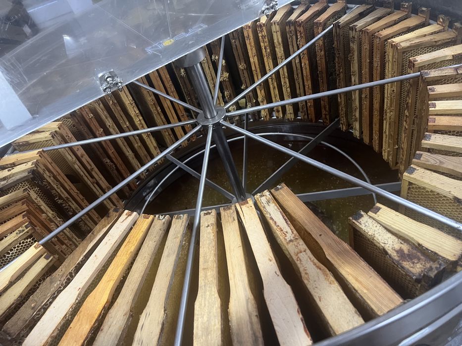 miód, miód lipowy sezon 2025 matki rodziny miody pasieki