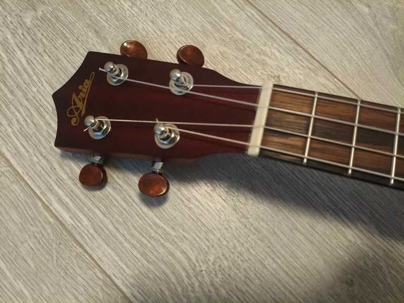 Ukulele Aria electro concert