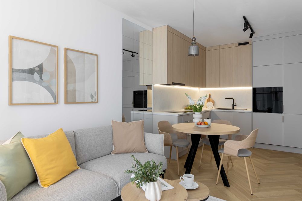 Nowoczesny apartament z garazem/ Belg Apartamenty-Katowice - Widok 2