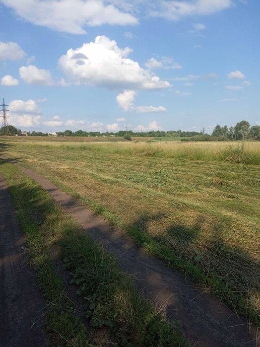 Сено луговое тюки и солома.