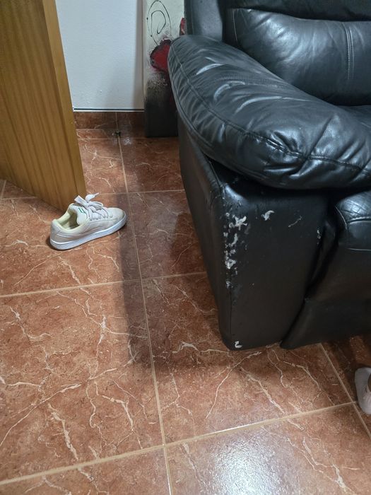 Sofa de 2 lugares com capa