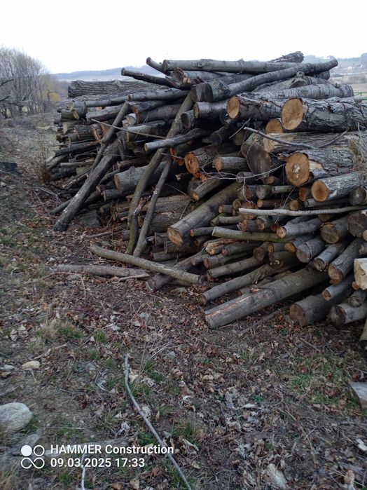 drewno kominkowe opałowe