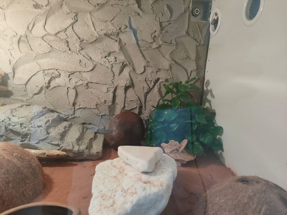 Profesjonalne podwieszane terrarium gekon lamparci