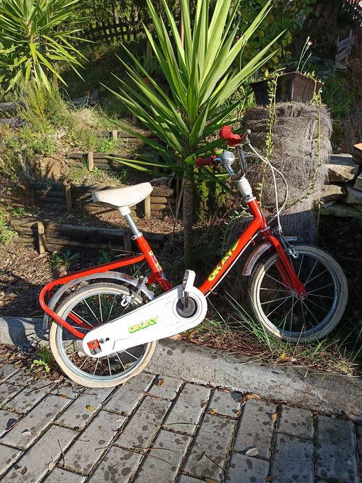 Várias bicicletas432571498795509763