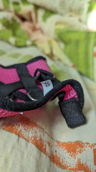 Ошейник для кота