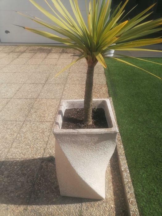 Vendo vaso em excelente estado