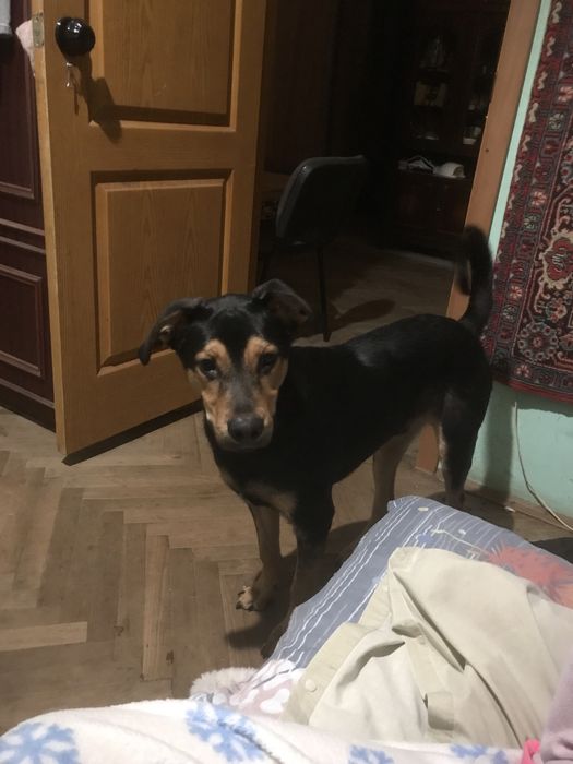 Молодий хлопчик 7 міс.