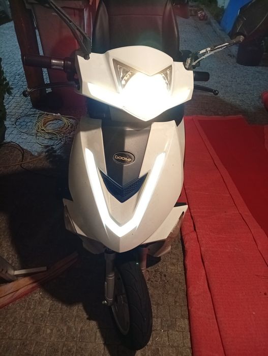 Mota Elétrica Goose R3