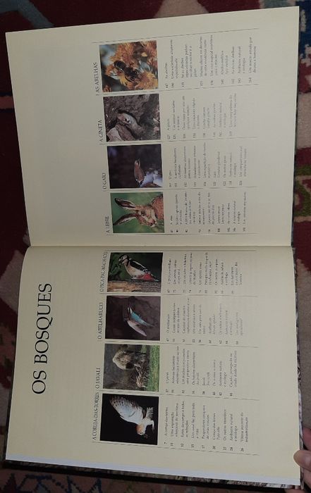 Coleção Vida Selvagem