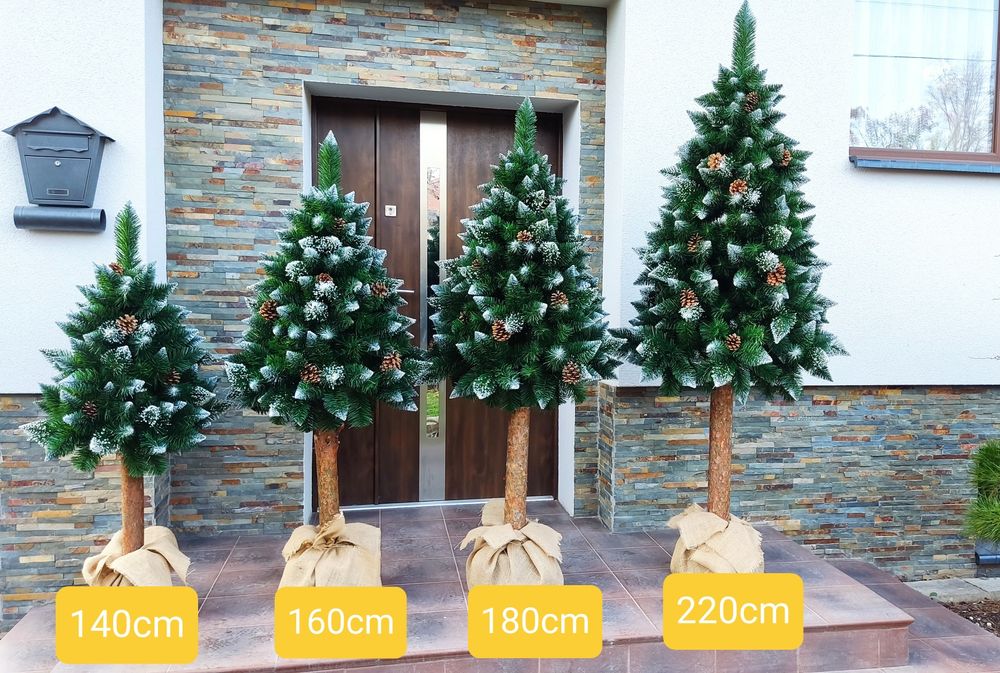 Choinka sztuczna na pniu sosna diamentowa 180m