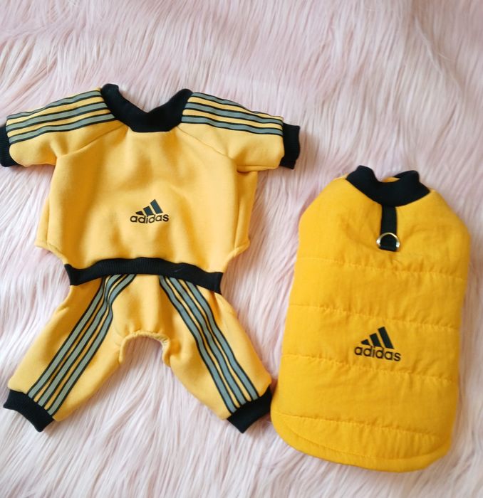 Одяг для собак та котів