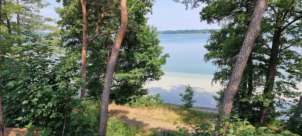 Dzierżawa terenu nad jeziorem pod  Holenderkę,  Pszczew