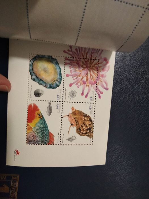 Bloco de selos da Madeira de 2007