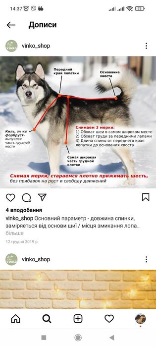 Одежда для собак. Жилет зимний