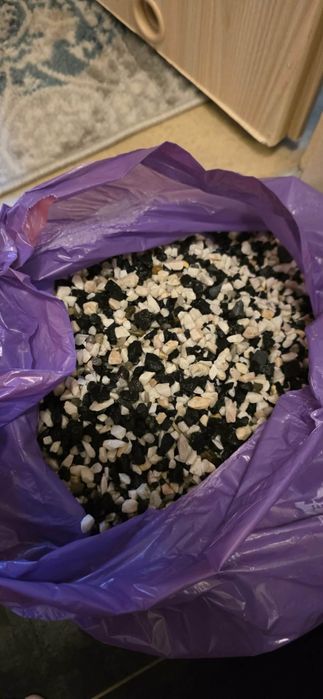 Żwirek akwarystyczny.