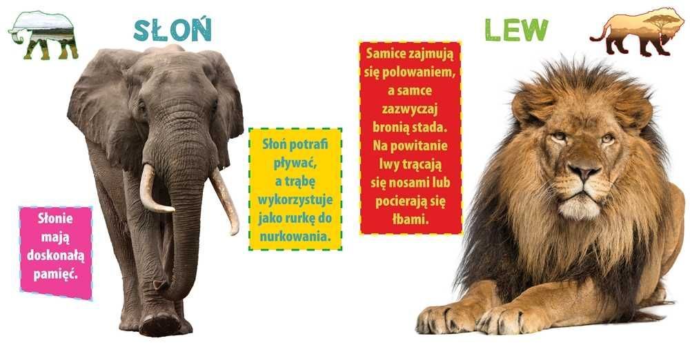 Wesołe Zoo Ciekawostki o Zwierzętach dla Dzieci Oprawa Twarda 10 str