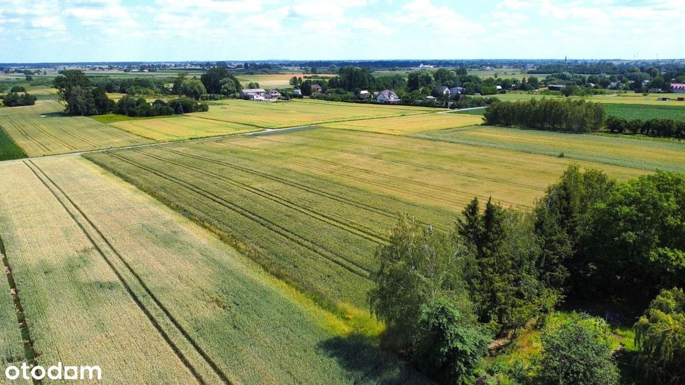 Działka, Jacków