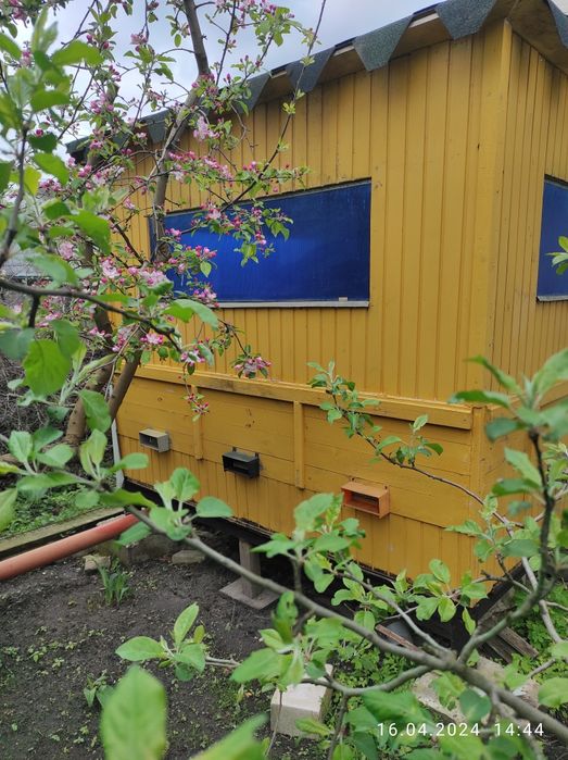 Апібудиночок ,бджіло будинок