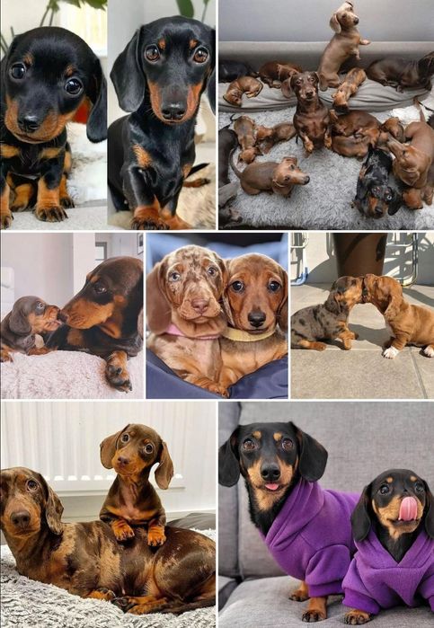 Грайливий хлопчик такси