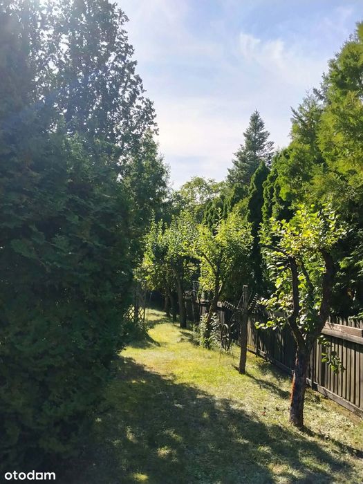 Sprzedam działkę w Atenach