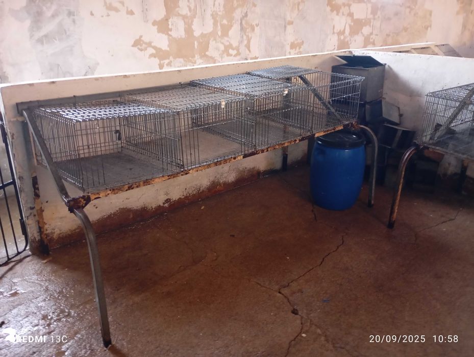 Jaulas /para coelhos