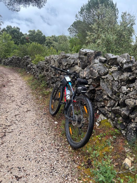 Bicicleta trek roda 29”