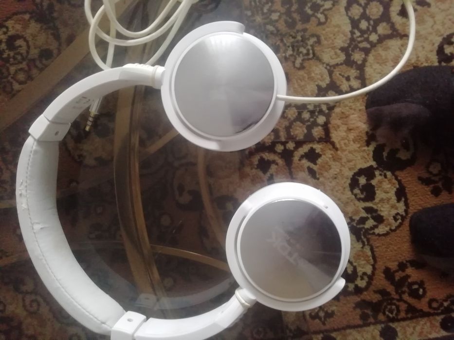 Навушники TDK life record