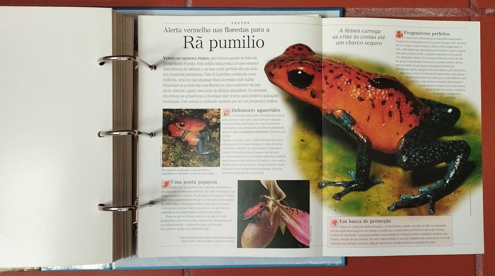 Coleção Completa "O Fascinante Mundo Animal"