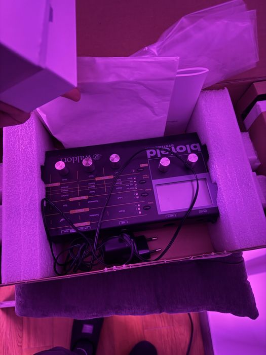 Аналоговый синтезатор Waldorf Blofeld Black