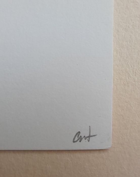 Original Screen Print64861925968899121