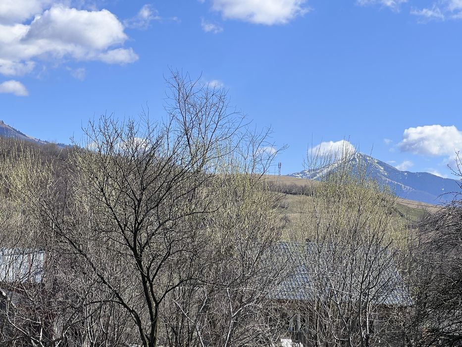 Продається будинок у с. Негровець та 18 сотих