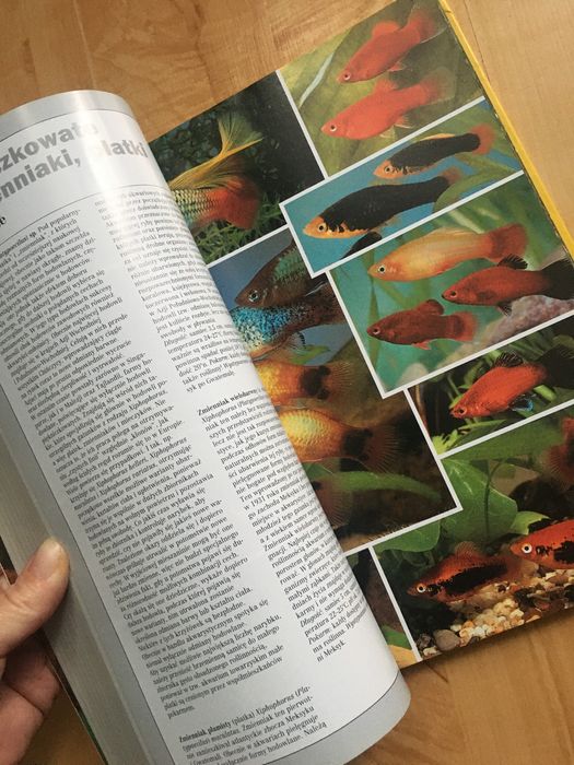 Atlas ryb akwariowych Kahl Voht encyklopedia