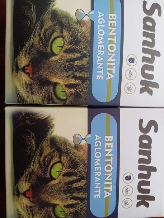 Areia para gatos