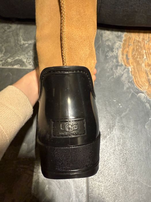 Сапоги UGG оригинал