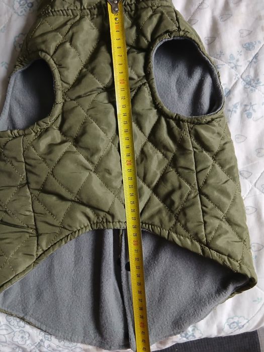 Одежда для собак