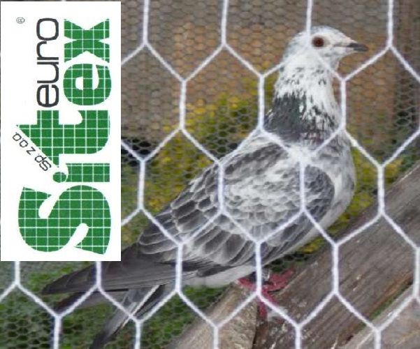 Siatka hodowlana hexagonalna na woliery, ogrodzenia, ocynk 13/0,7